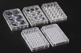 6-Well, TC Treated, Individually Wrapped, Sterile with Lid