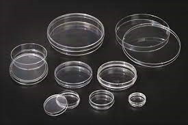 150mm Non-Treated, Sterile